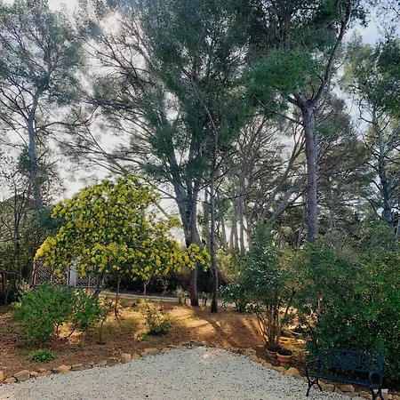 Villa Familiale A Sanary, Climatisee, Plage A Pieds Extérieur photo